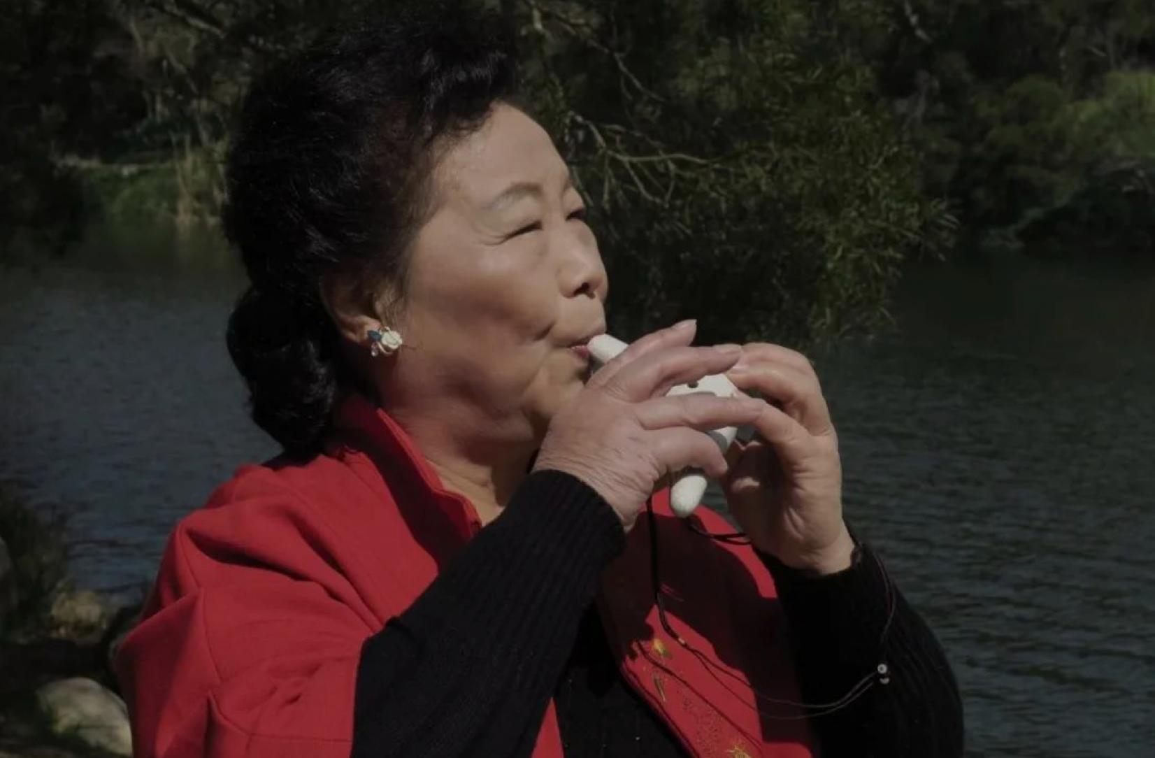 女王八奶奶的自然美景之旅，最新动态揭秘