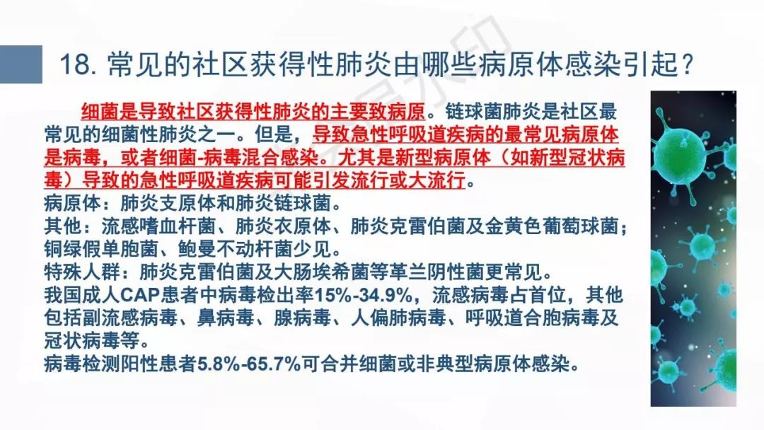 最新肺炎概览全面解读与最新动态📆