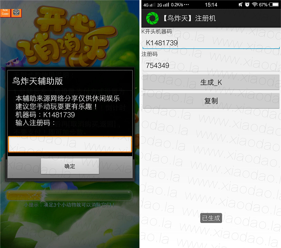 鸟炸天最新动态揭秘