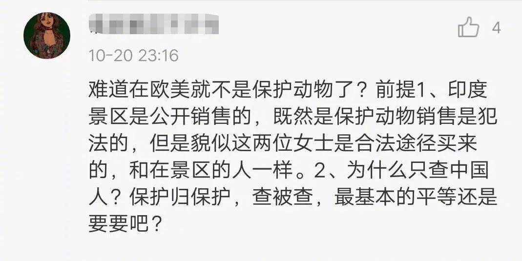 印度海关最新动态，自然美景探索之旅邀请