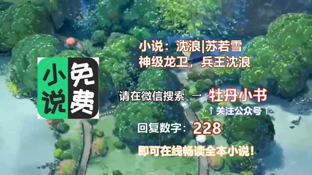 神龙护卫沈浪最新章节深度分析与观点阐述