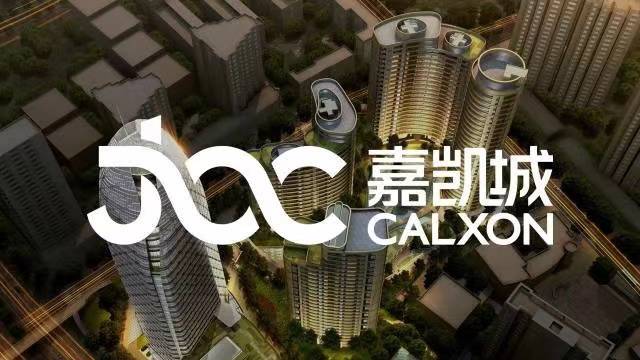 恒大嘉凯城最新动态更新，最新消息汇总